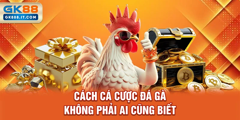 cach-ca-cuoc-da-ga-khong-phai-ai-cung-biet