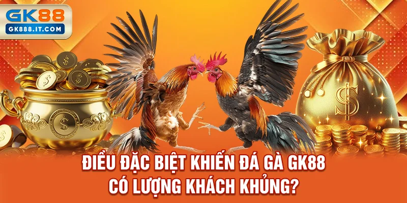 dieu-dac-biet-khien-da-ga-gk88-co-luong-khach-khung