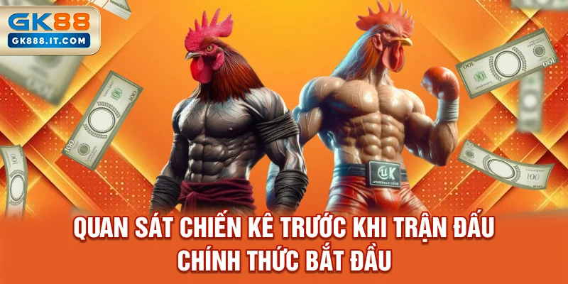 quan-sat-chien-ke-truoc-khi-tran-dau-chinh-thuc-bat-dau